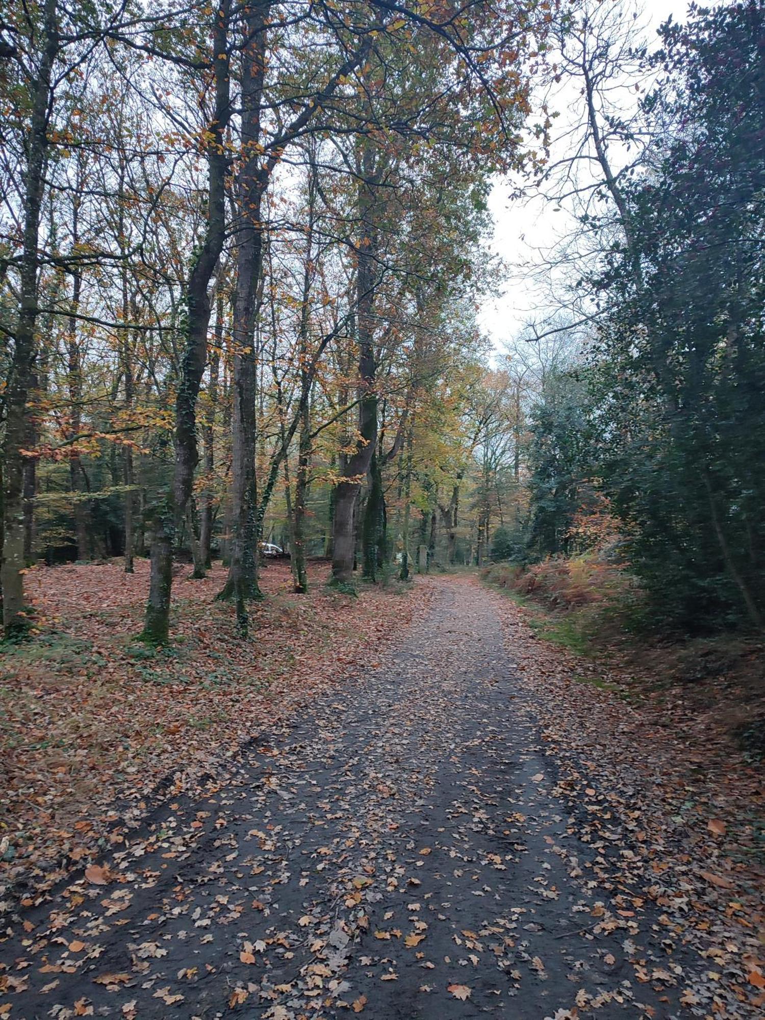Gite Des Mezieres Brusvily Esterno foto
