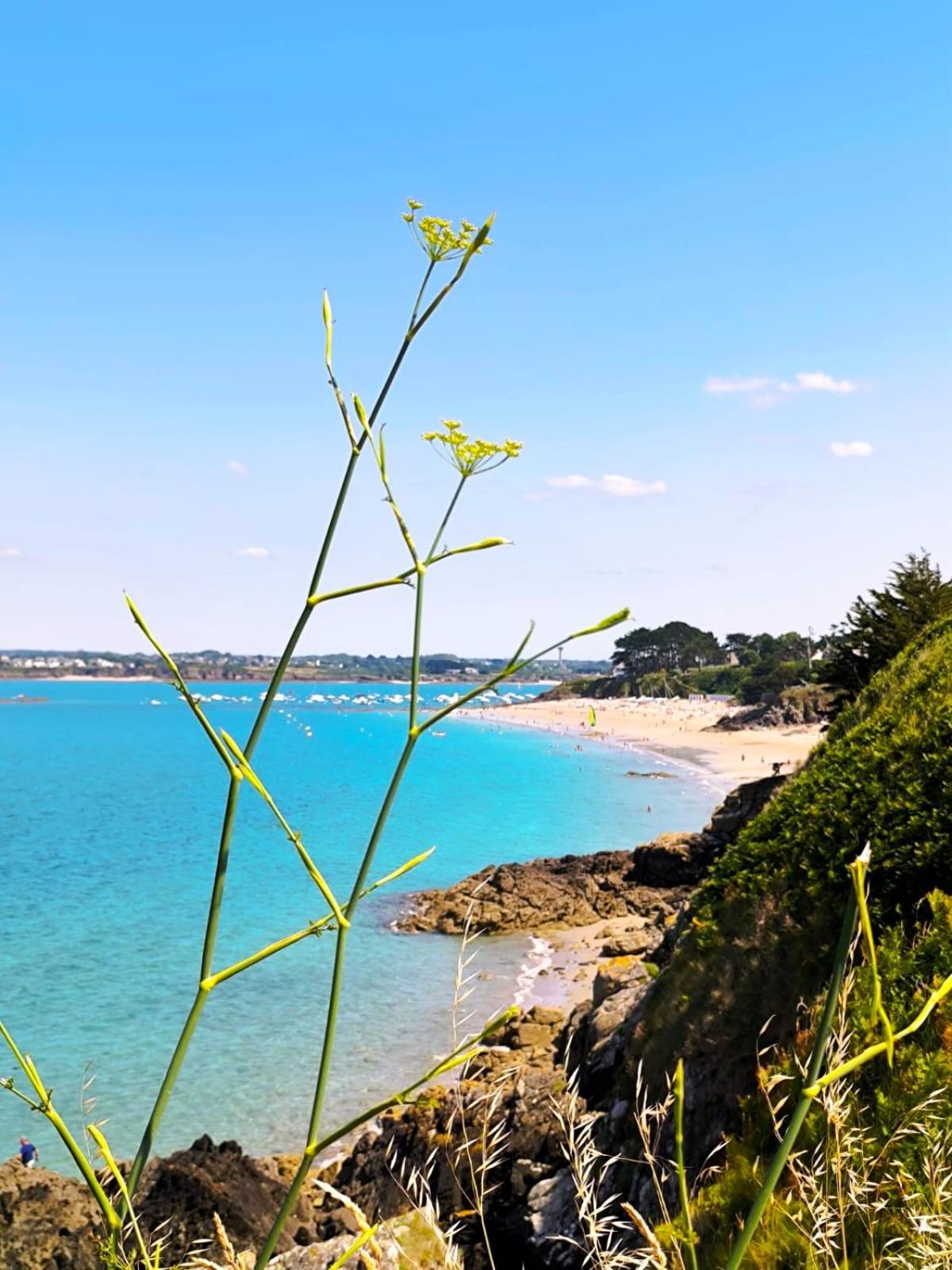 Gite Des Mezieres Brusvily Esterno foto