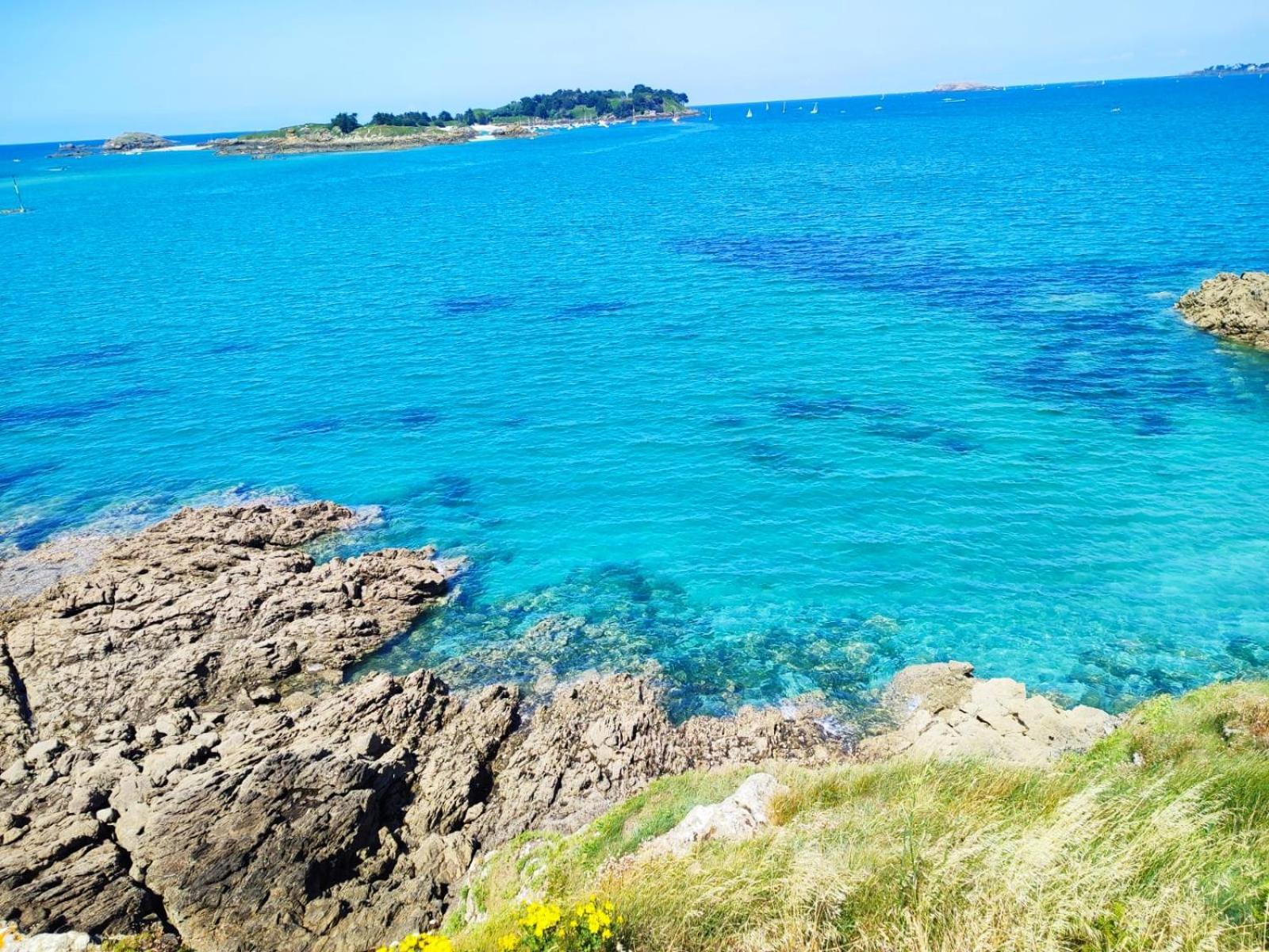 Gite Des Mezieres Brusvily Esterno foto